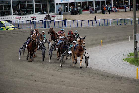 Ravit